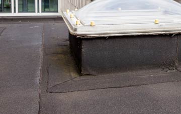 disadvantages of Dembleby flat roofs