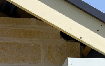 soffit repair Dembleby