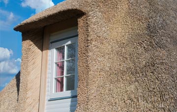Dembleby thatch roof disadvantages